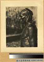 藏品(男子側面像)的圖片